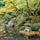 finding-serenity-in-the-japanese-garden-of-portland-oregon