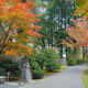finding-serenity-in-the-japanese-garden-of-portland-oregon