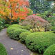 finding-serenity-in-the-japanese-garden-of-portland-oregon