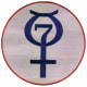 The Mercury 7 Flight Patch