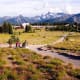 Subalpine meadows at Sunrise in Mount Rainier National Park