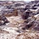 Overlooking the Badlands in the Petrified Forest National Park