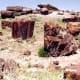 Petrified Forest National Park