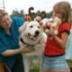 Adoption Day December 2, 2007. We meet Waco to take him home.