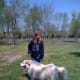 Waco enjoying the dog park.