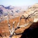 arizona-travel-pictures-national-park-grand-canyon-wow