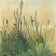 Swamp Weeds in watercolor