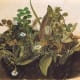 the-art-of-botanicals-and-my-contribution