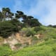 Mount Sutro looks west to the Pacific Ocean, across the Great Highway. This hill is a park, and is part of the Golden Gate National Recreation Area