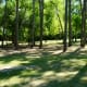 Pretty trees and green areas