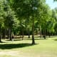 Open grassy area with trees