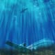 Bermuda Triangle Mystery