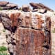 Massive amounts of Petrified wood found in the Petrified Forest National Park