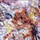 Closeup of the beautiful colors in petrified wood