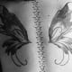 Butterfly wings and stars.