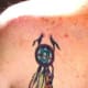 indian-feather-tattoos-and-meanings-indian-feather-tattoo-ideas-and-designs