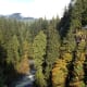 View of the Capilano River from the bridge.