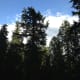 seven-things-to-do-in-vancouver-canada