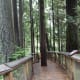seven-things-to-do-in-vancouver-canada