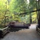 seven-things-to-do-in-vancouver-canada