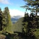 seven-things-to-do-in-vancouver-canada