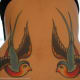 tattoo-ideas-sparrows-and-swallows