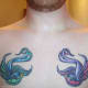 tattoo-ideas-sparrows-and-swallows
