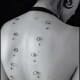 Proper Corset with Surface Barbells
