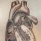 Tattoo by Kai Saunders, Penticton, B.C.