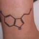 Serotonin (Freak Tattoo, Kansas City)