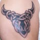 A knot in a bull shape. (by Brad - Second to None - Killeen TX)