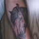 horse-tattoos