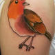 Robin