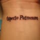 Expecto Patronum, Latin for "I await a protector"