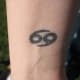 the-zodiac-and-astrology-charts-western-and-chinese-symbols-zodiac-tattoos-and-information