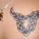 This is an example of mixed tattoos, the zodiac with Celtic art. The sign is Taurus.