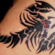 the-zodiac-and-astrology-charts-western-and-chinese-symbols-zodiac-tattoos-and-information