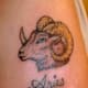 the-zodiac-and-astrology-charts-western-and-chinese-symbols-zodiac-tattoos-and-information