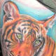 tiger-tattoos-and-meanings-tiger-tattoo-designs-and-ideas