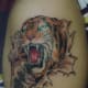 tiger-tattoos-and-meanings-tiger-tattoo-designs-and-ideas