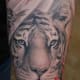 tiger-tattoos-and-meanings-tiger-tattoo-designs-and-ideas