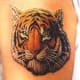tiger-tattoos-and-meanings-tiger-tattoo-designs-and-ideas