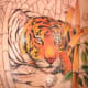 tiger-tattoos-and-meanings-tiger-tattoo-designs-and-ideas