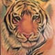 tiger-tattoos-and-meanings-tiger-tattoo-designs-and-ideas