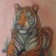 tiger-tattoos-and-meanings-tiger-tattoo-designs-and-ideas