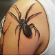 Black spider on shoulder