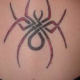 Stylized spider