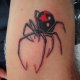 Black widow with jaws