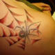 Black widow with red web