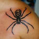 Black spider tattoo